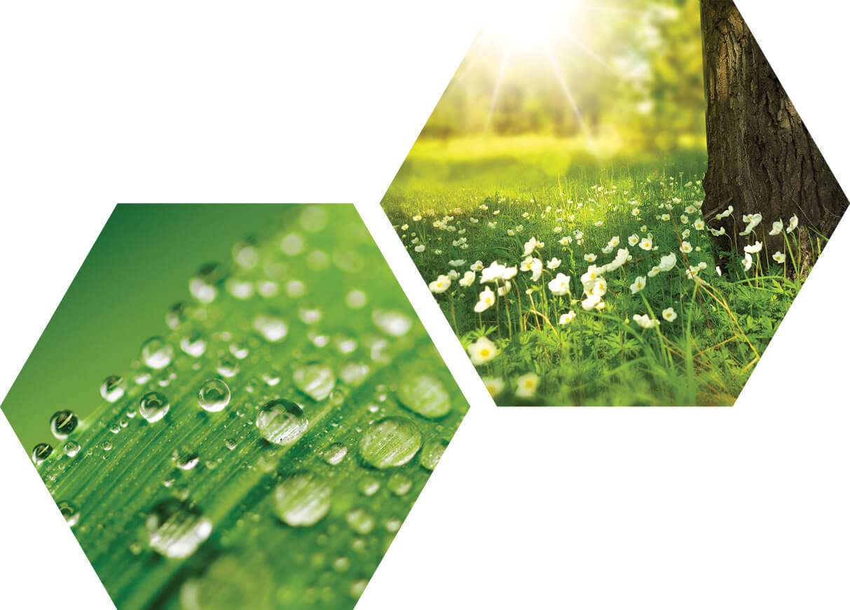 Sustainable Products